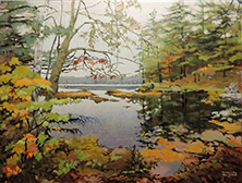Muskoka Beaver Pond
